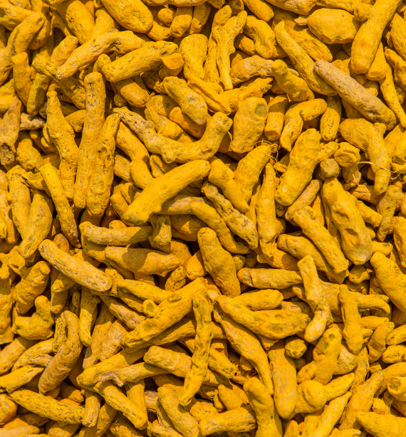 Turmeric Finger