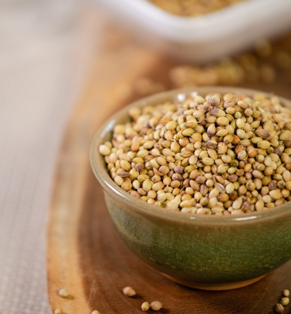 Coriander Seed Single Parrot