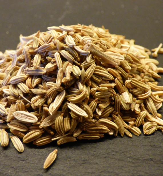 Fennel Seeds Europe Quality