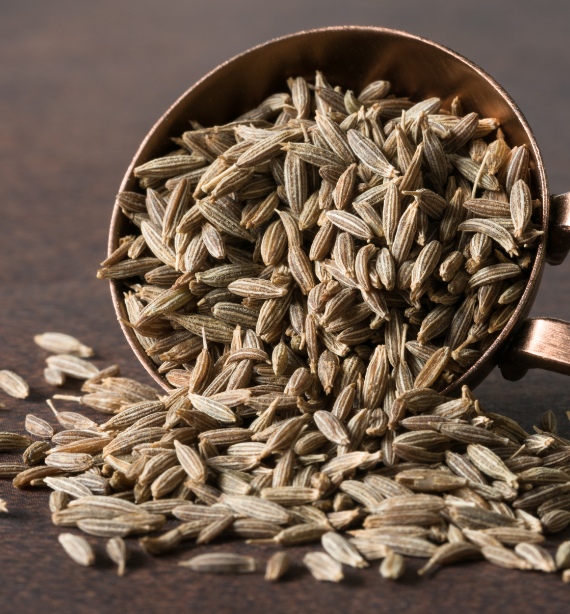 Singapore Cumin Seeds